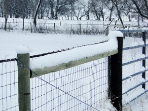 Snow on the Fence at Almosta Farm Highlands